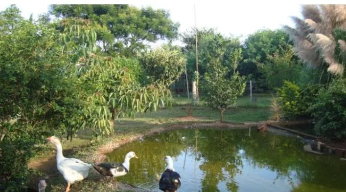 SOMOS UM CASAL DE CASEIRO  - Foto 3