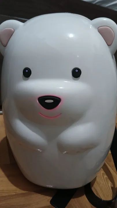 Mochila da melissa  - Foto 2