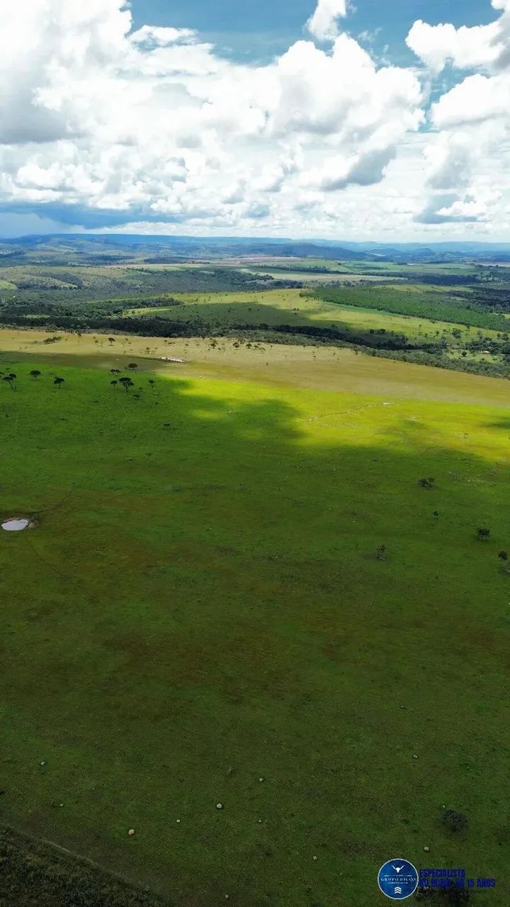 Fazenda de 40 Alqueires em Cocalzinho de Goiás - GO 40 Alqueires - Foto 2