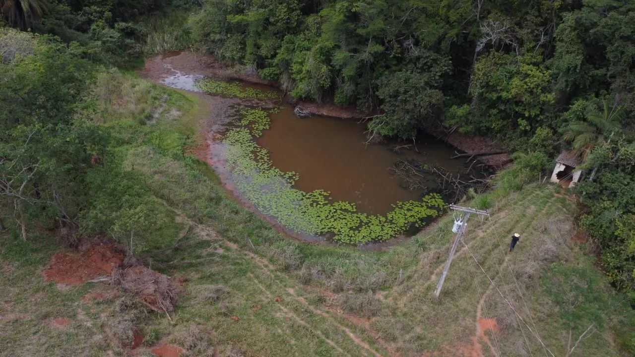 Fazendinhas rural em florestal 