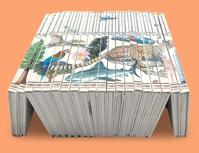 Dicionário Enciclopédico Ilustrado Veja Larousse 20 Volumes (Usado)