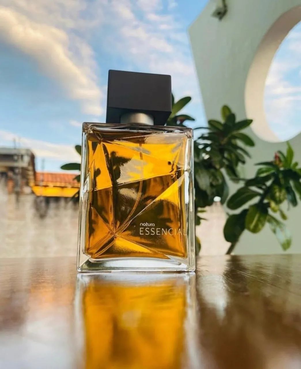 Essencial Tradicional da Natura. Faço Entrega - Foto 3