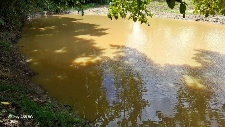 SÍTIO EM CONCEIÇÃO DO JACUÍPE - 15 TAREFAS - Foto 4