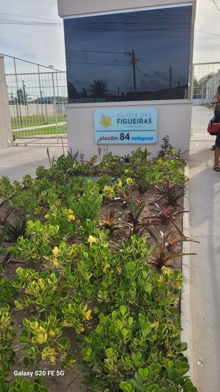 Apartamento em igarassu para alugar