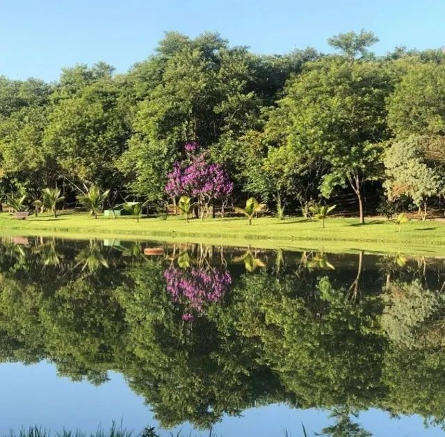 Terreno de esquina - 548m2 com vista permanente para bosque e lago - Foto 4