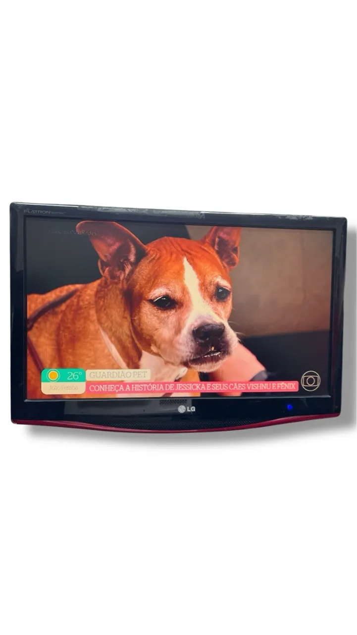 Monitor Tv analógico lg 23