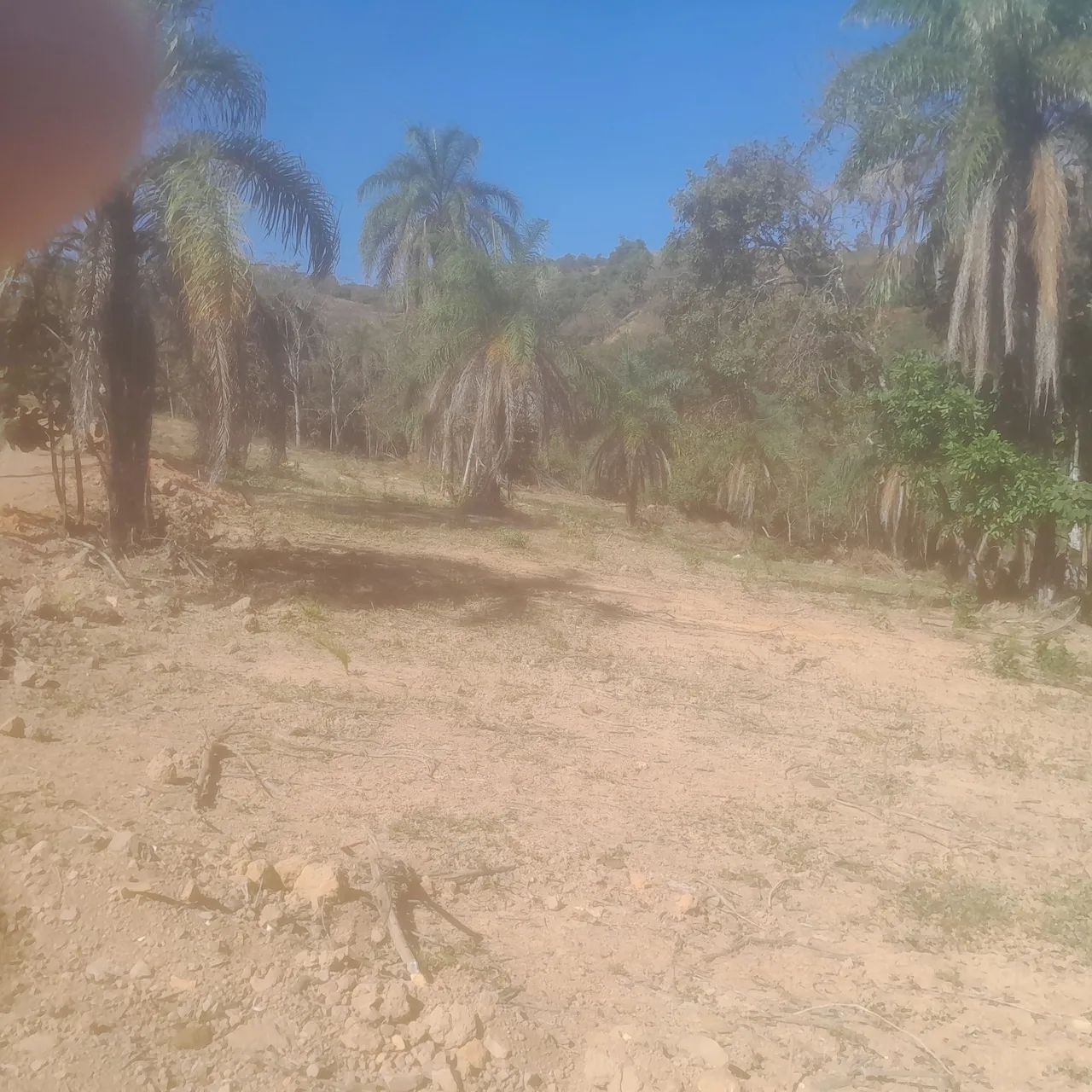 Chacara rural no sítio novo  - Foto 5