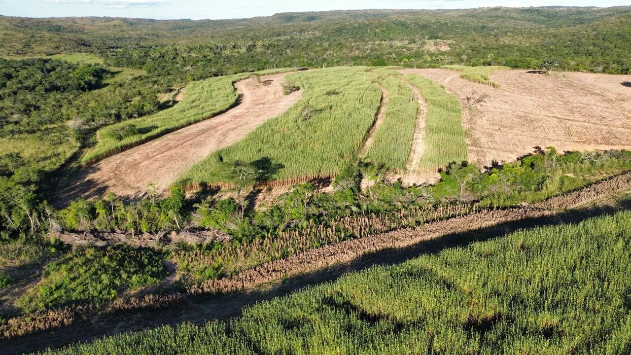 Fazenda em abadia dourados  - Foto 5