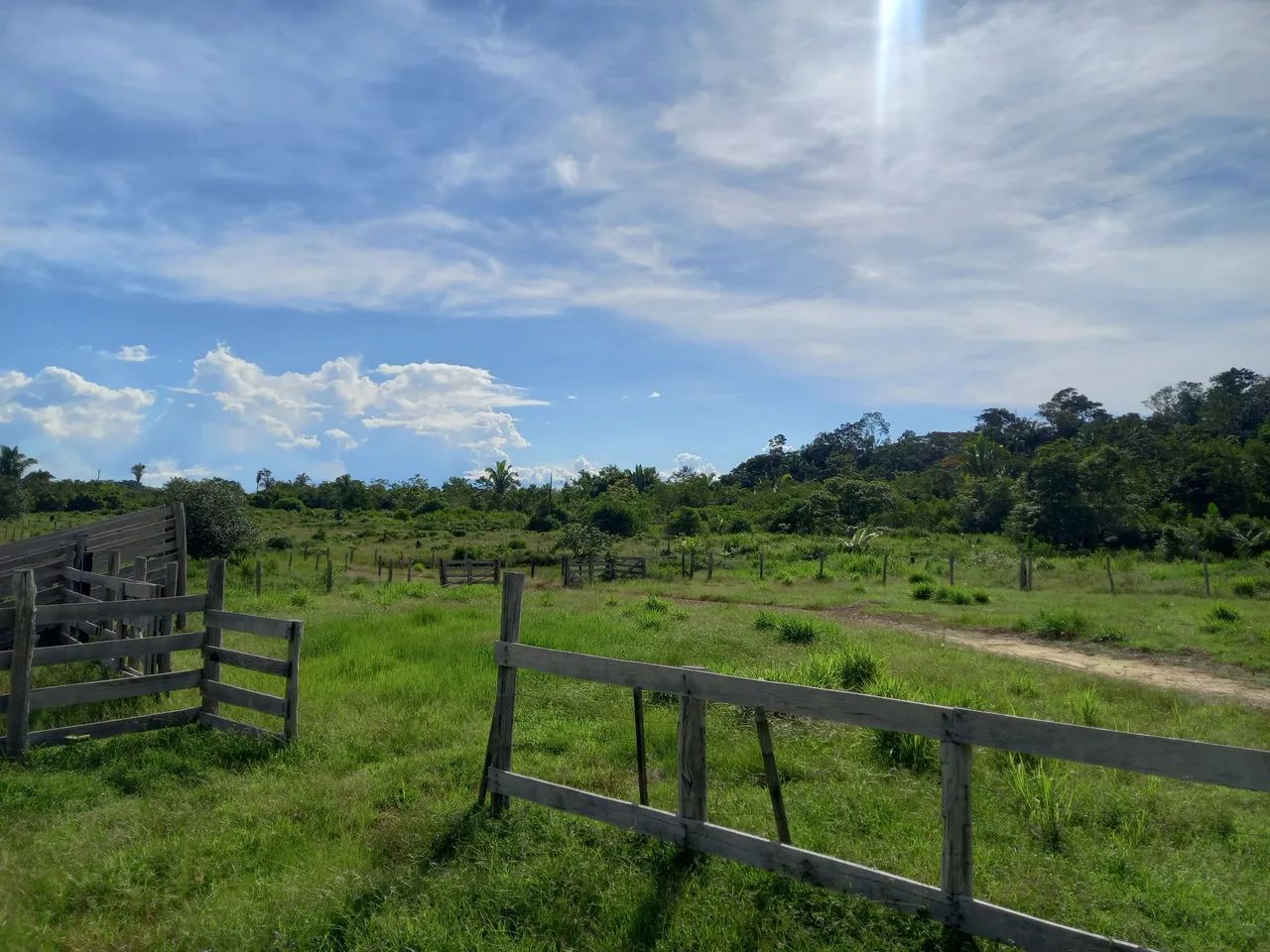 Sítio à venda - Foto 5