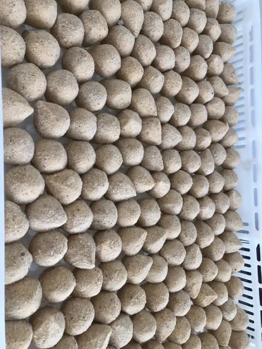 Salgados congelados para revenda 