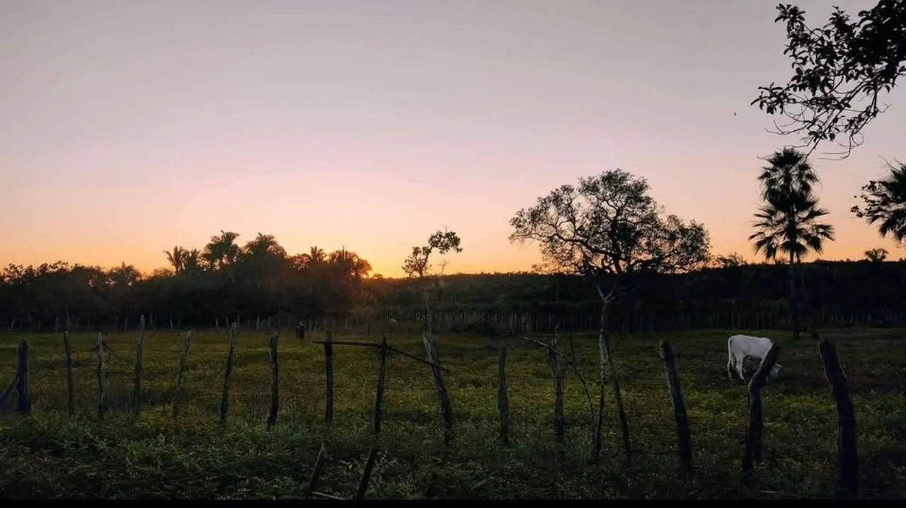 Fazenda Piauí 484 hectares pecuária