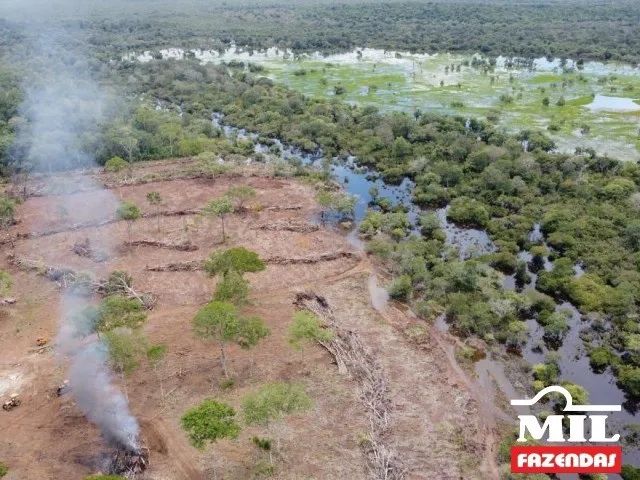 Fazenda na Lagoa da Confusão-TO. . 213 Alq. (1.030 Há) - Foto 2