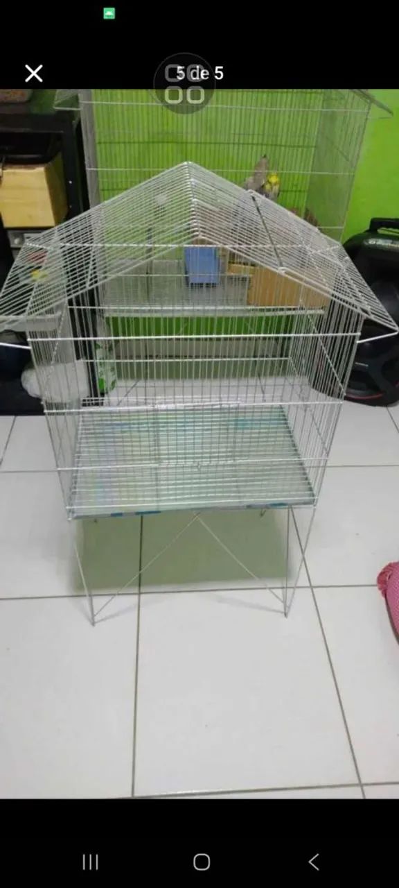 Viveiro novos64319325175554120