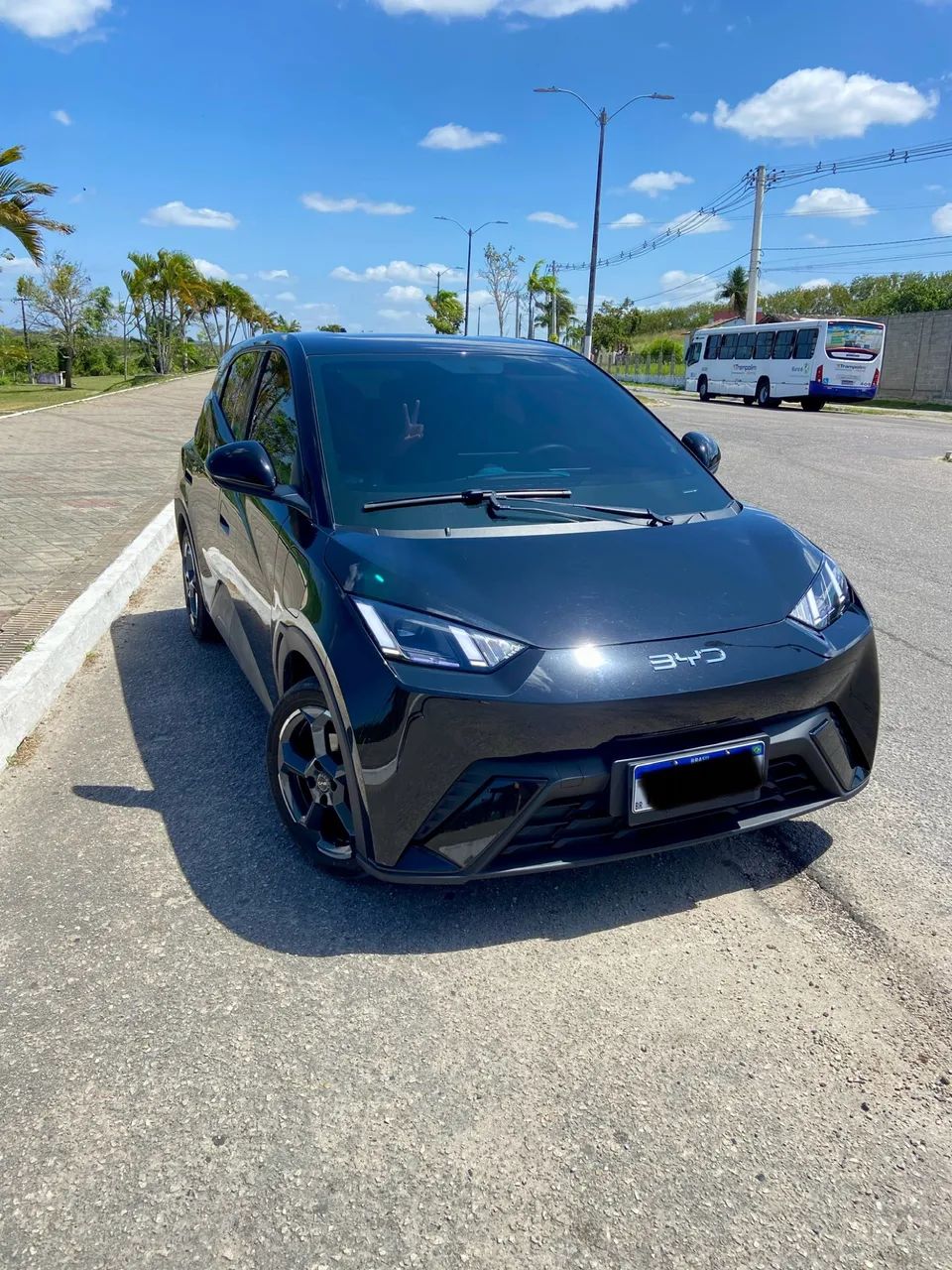 BYD Dolphin Dolphin Mini (Elétrico) 2025