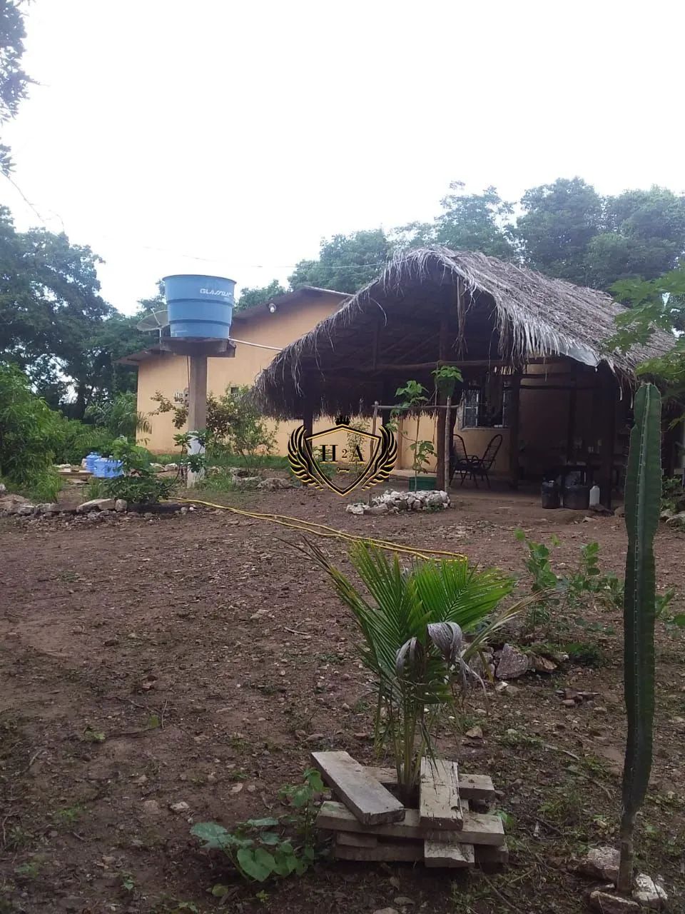 Sitio com a Documentação Toda em Dia em Barão de Melgaço! - Foto 4