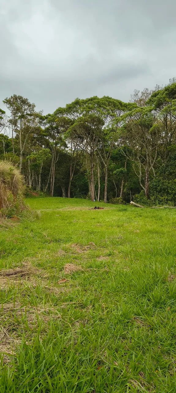 1 ha com córrego+chão de casa, Imaruí,sc - Foto 5