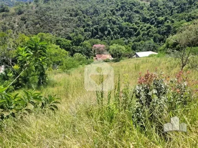 Terreno em Itaipava - Foto 3