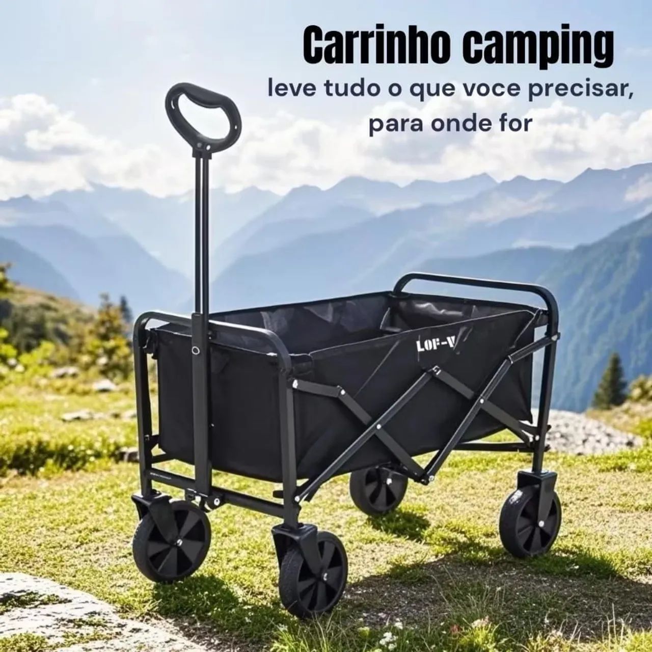 Carro de Carga suporta até 100 Kg 