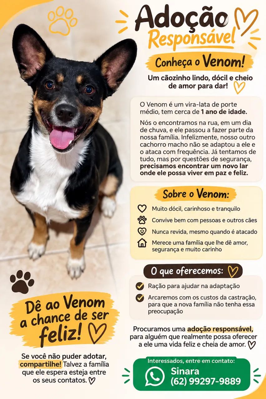 Adoção Responsável 