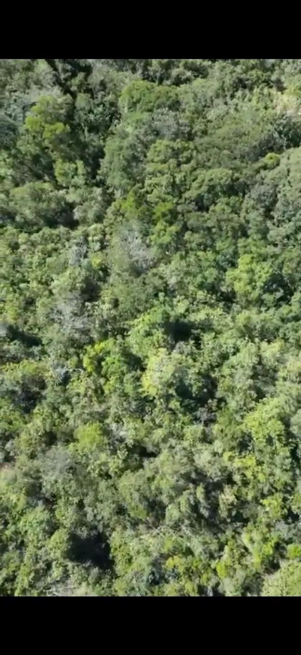 Chacara a 9 km da BR 060 Geriva