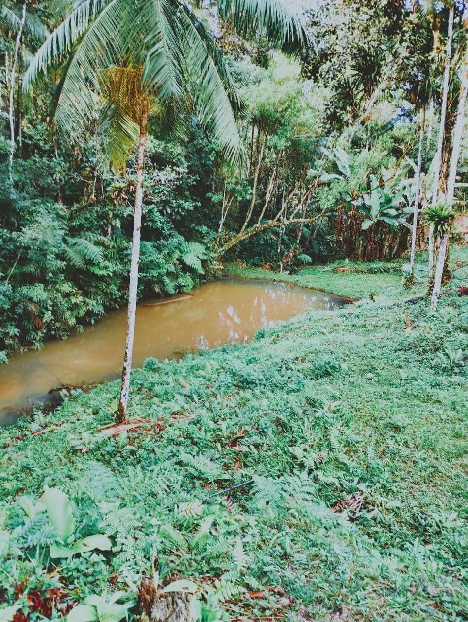 Sítio a venda  - Foto 4