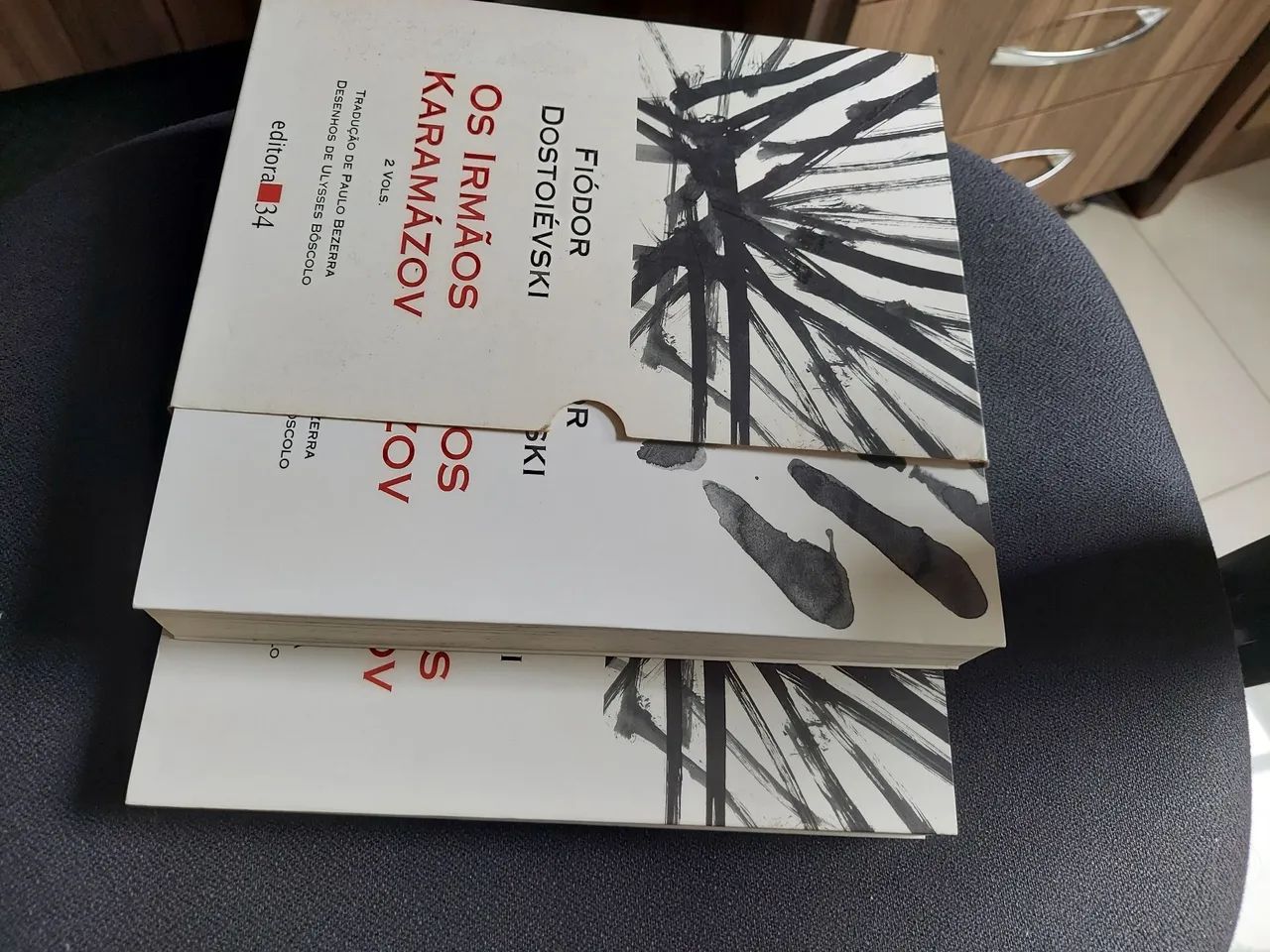 Livro: Os irmãos Karamazov - Livros e revistas - Valparaíso, Serra