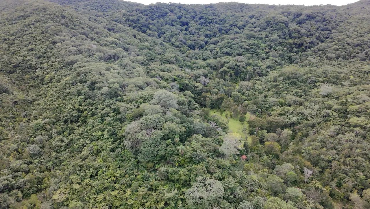 Fazenda de 30 alqueires e 61 litros  - Foto 5