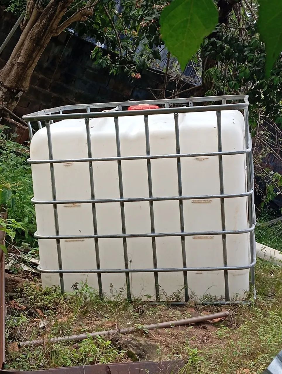 Bombona 