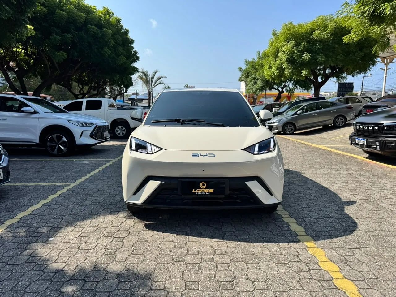 BYD Dolphin Mini (Elétrico) 2026 - Foto 2