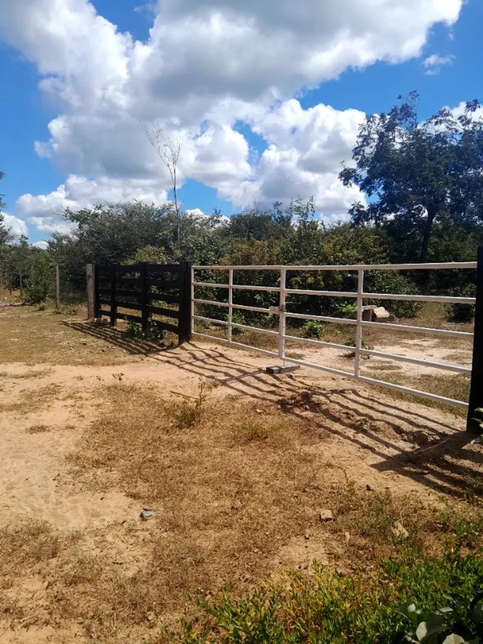 Fazenda de 130 hectares a venda! - Foto 2