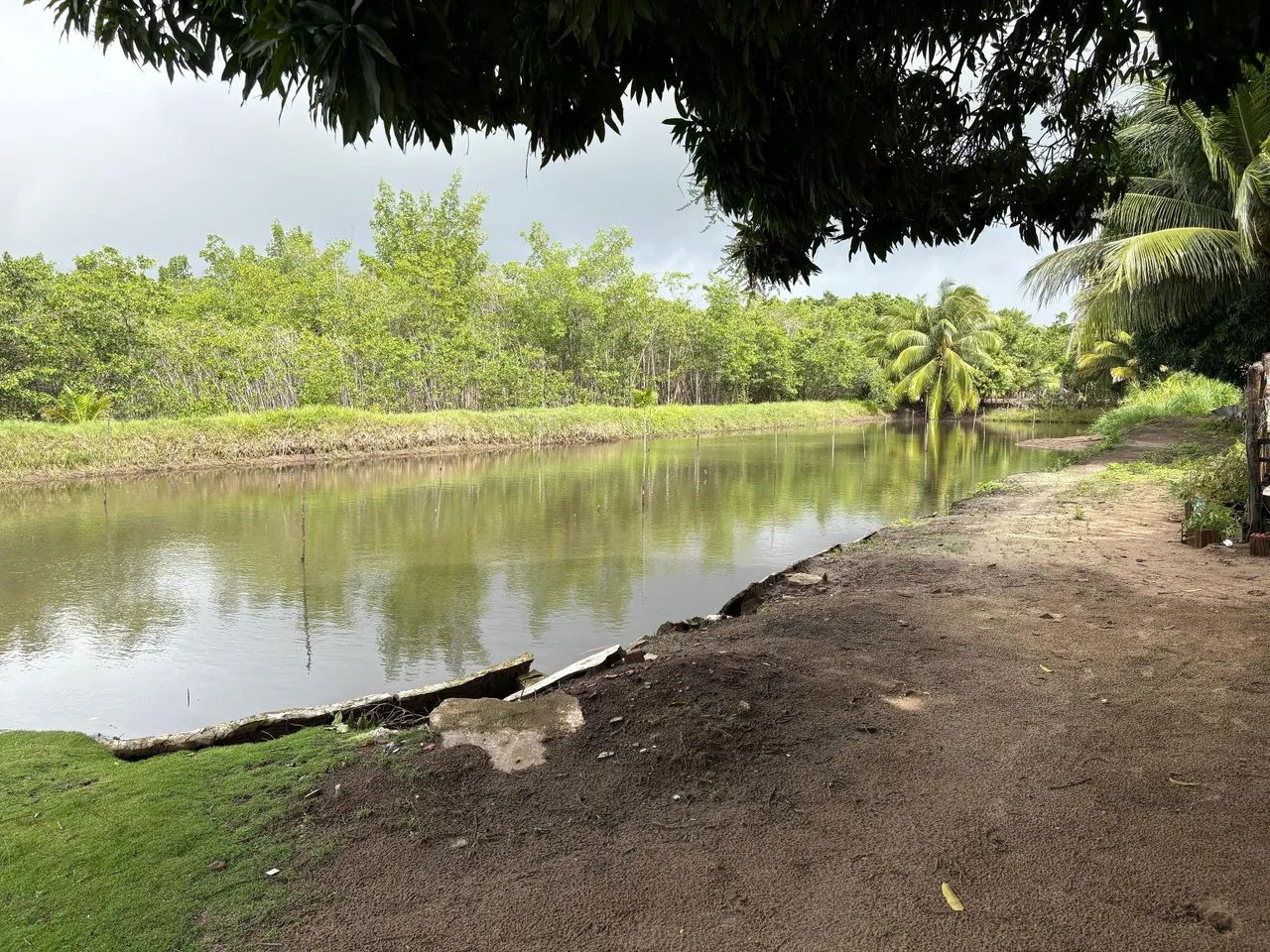 Granja em natal - Foto 4