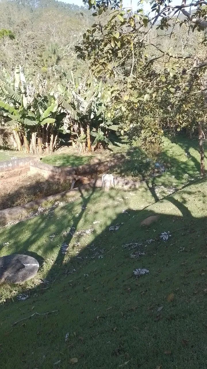 Chácara monteiro lobato sp  - Foto 2