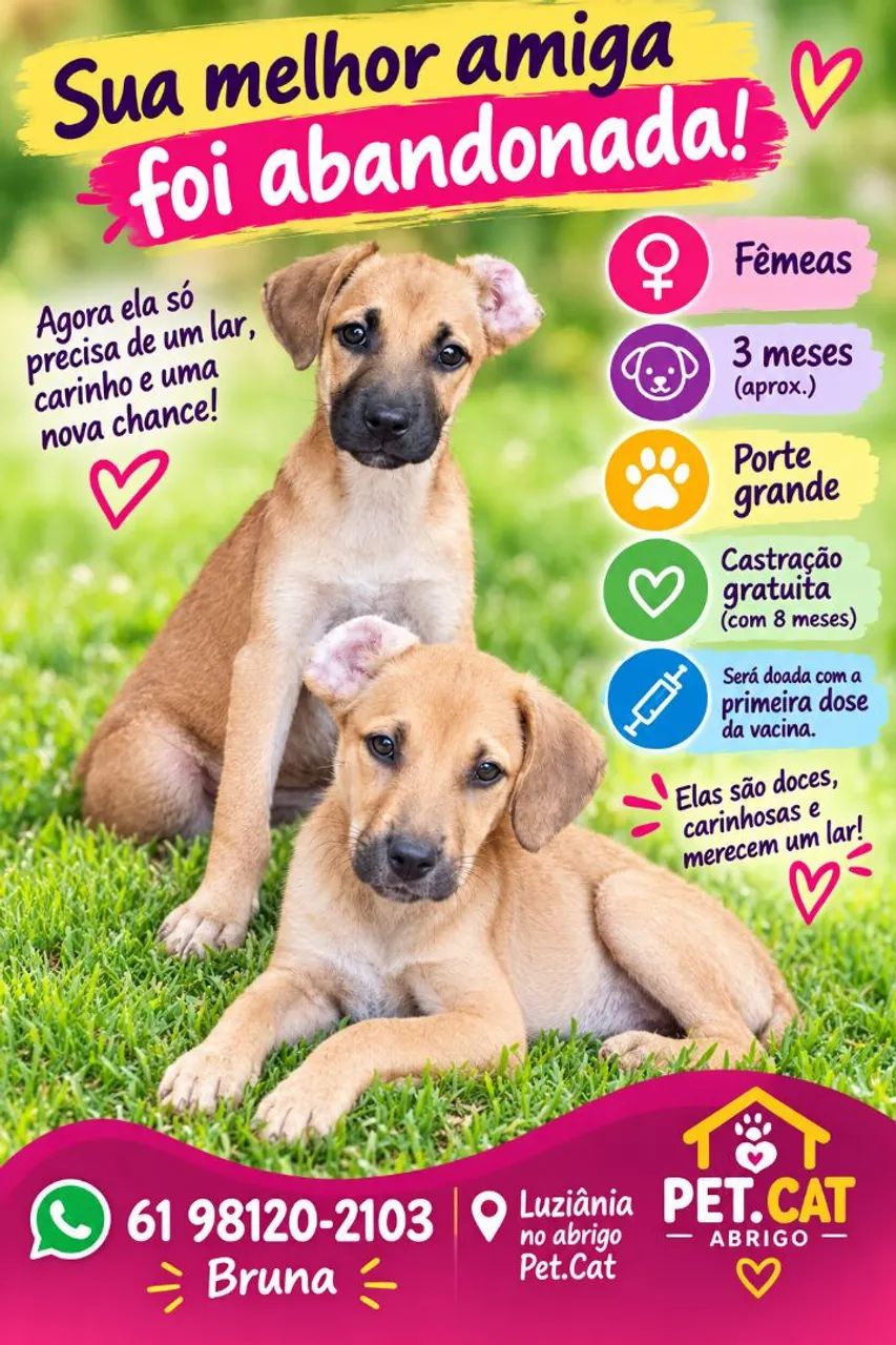 Fêmea resgatada. Disponível a de traz