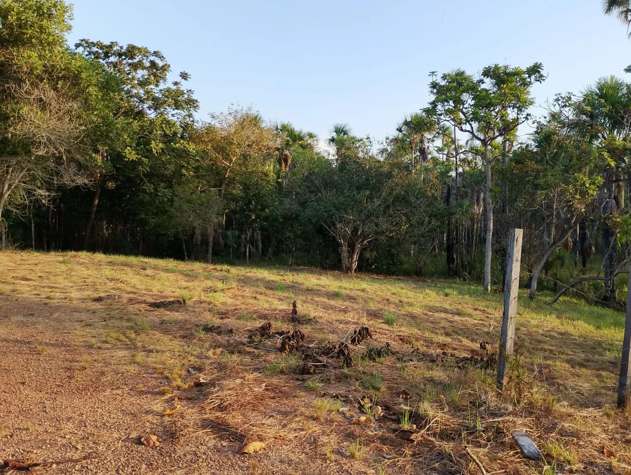 Área +/- 6.000m²  Linda! - Foto 4