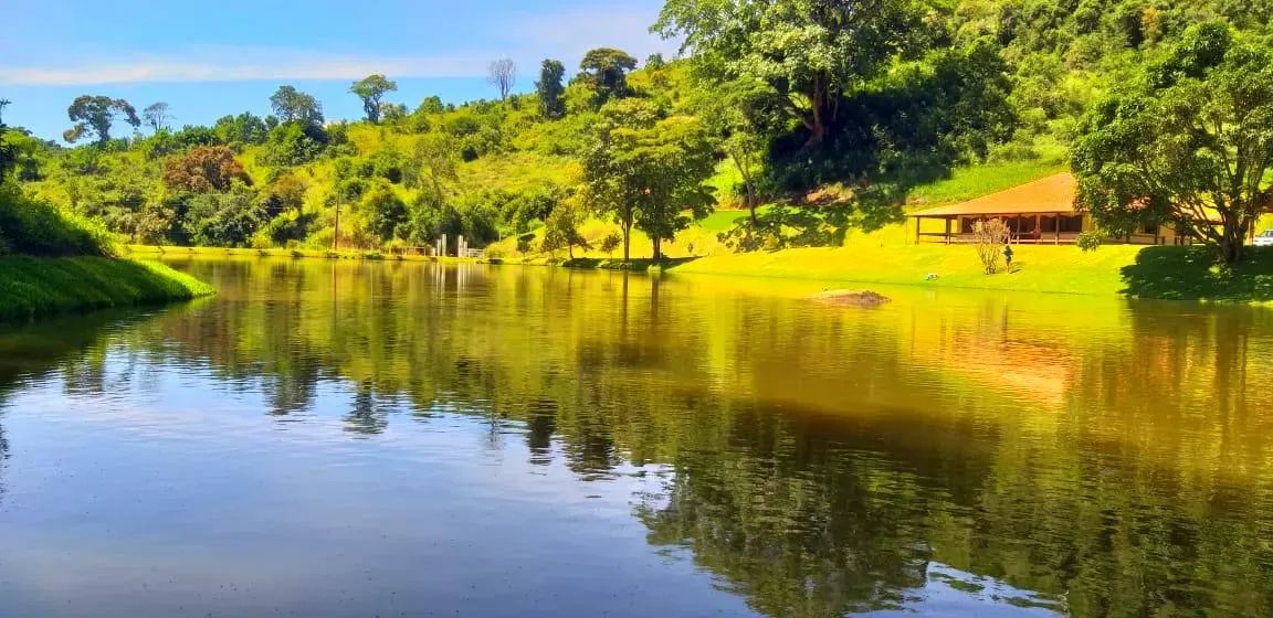 FAZENDA PROXIMOA JUIZ DE FORA