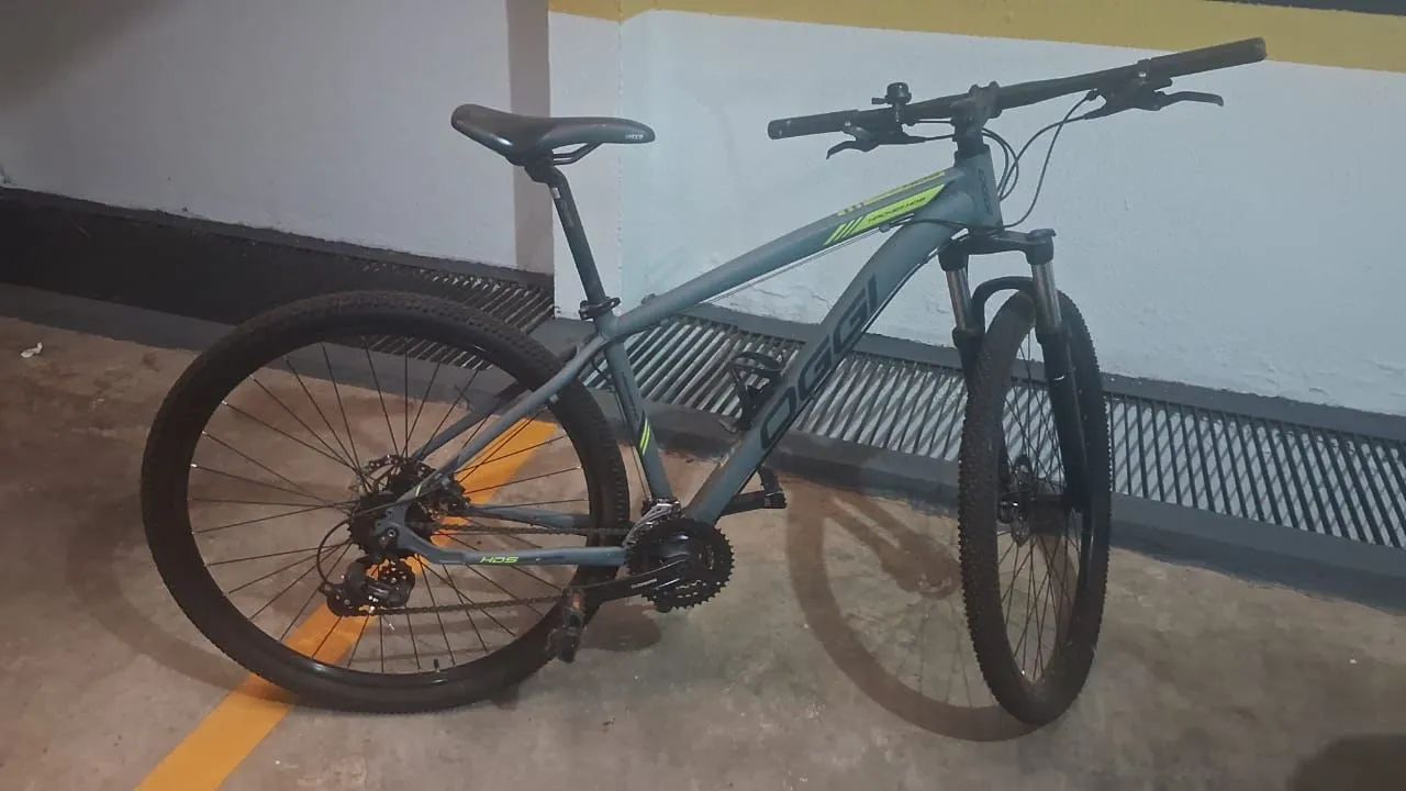 Bike Oggy Aro 29 
