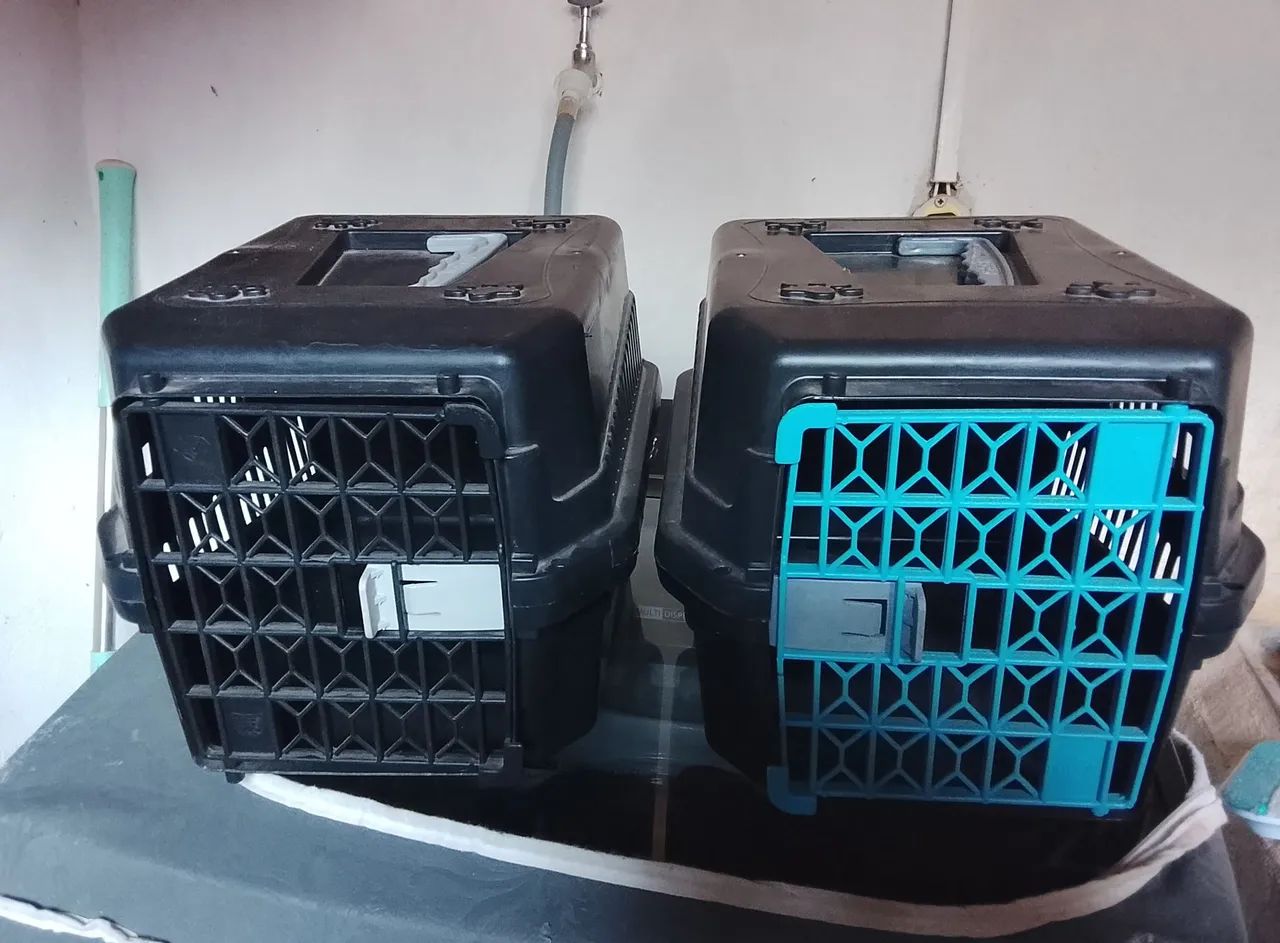 Caixa de transporte pet 