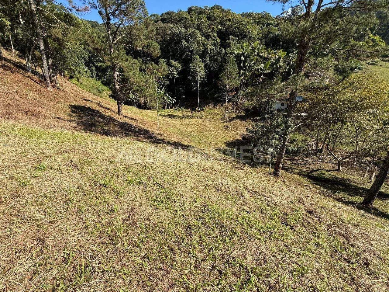 TERRENO PARA SÍTIO EM GUABIRUBA - Foto 2