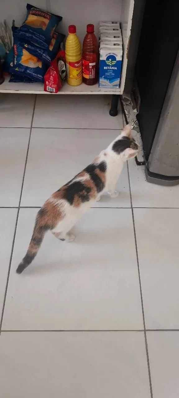 Doação 