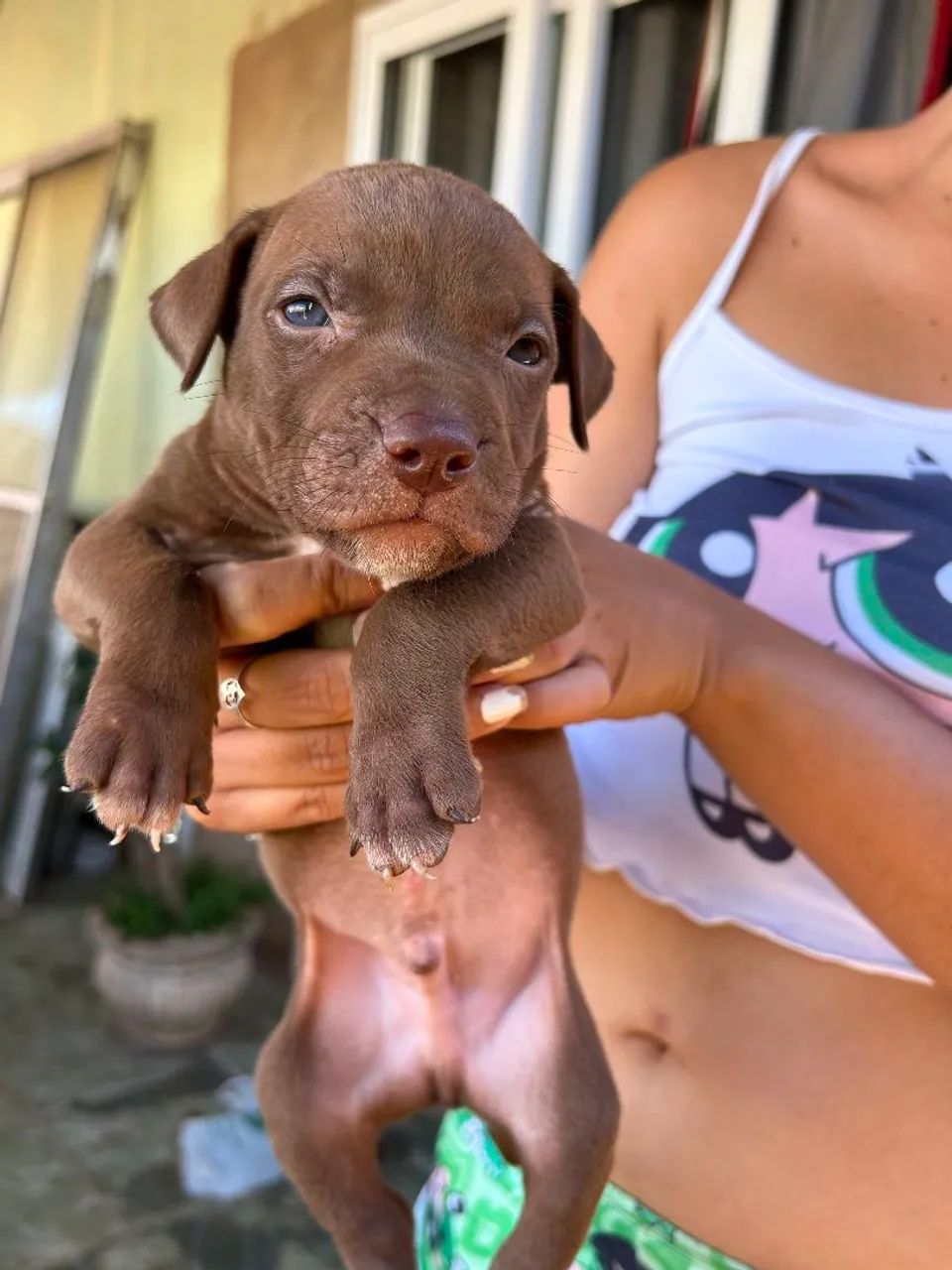 Pit monster 