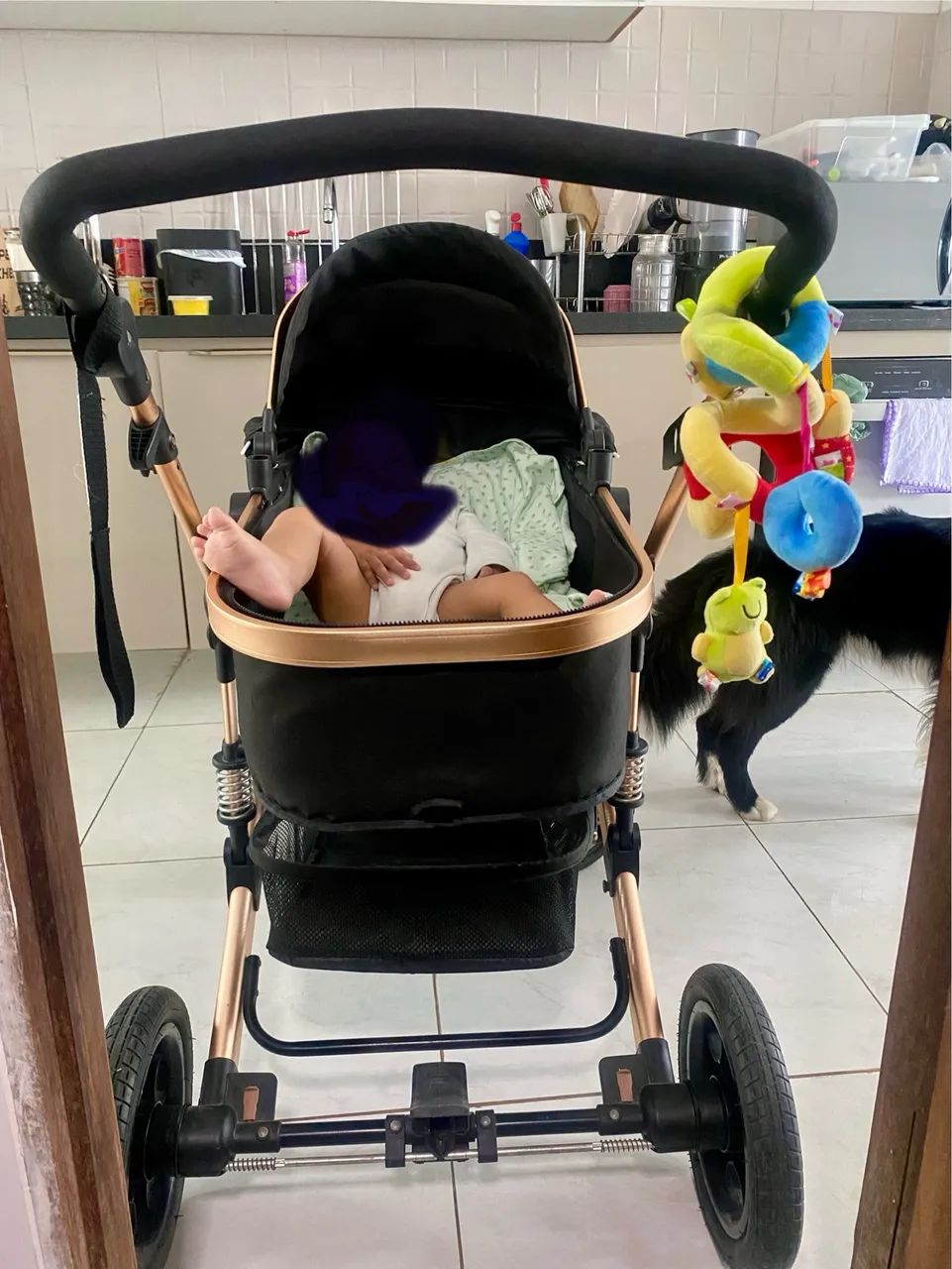 Carro de bebê europeu  - Foto 2