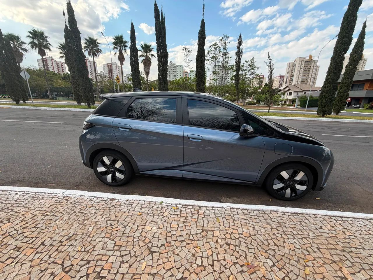 BYD Dolphin Plus (Elétrico) 2025 - Foto 3