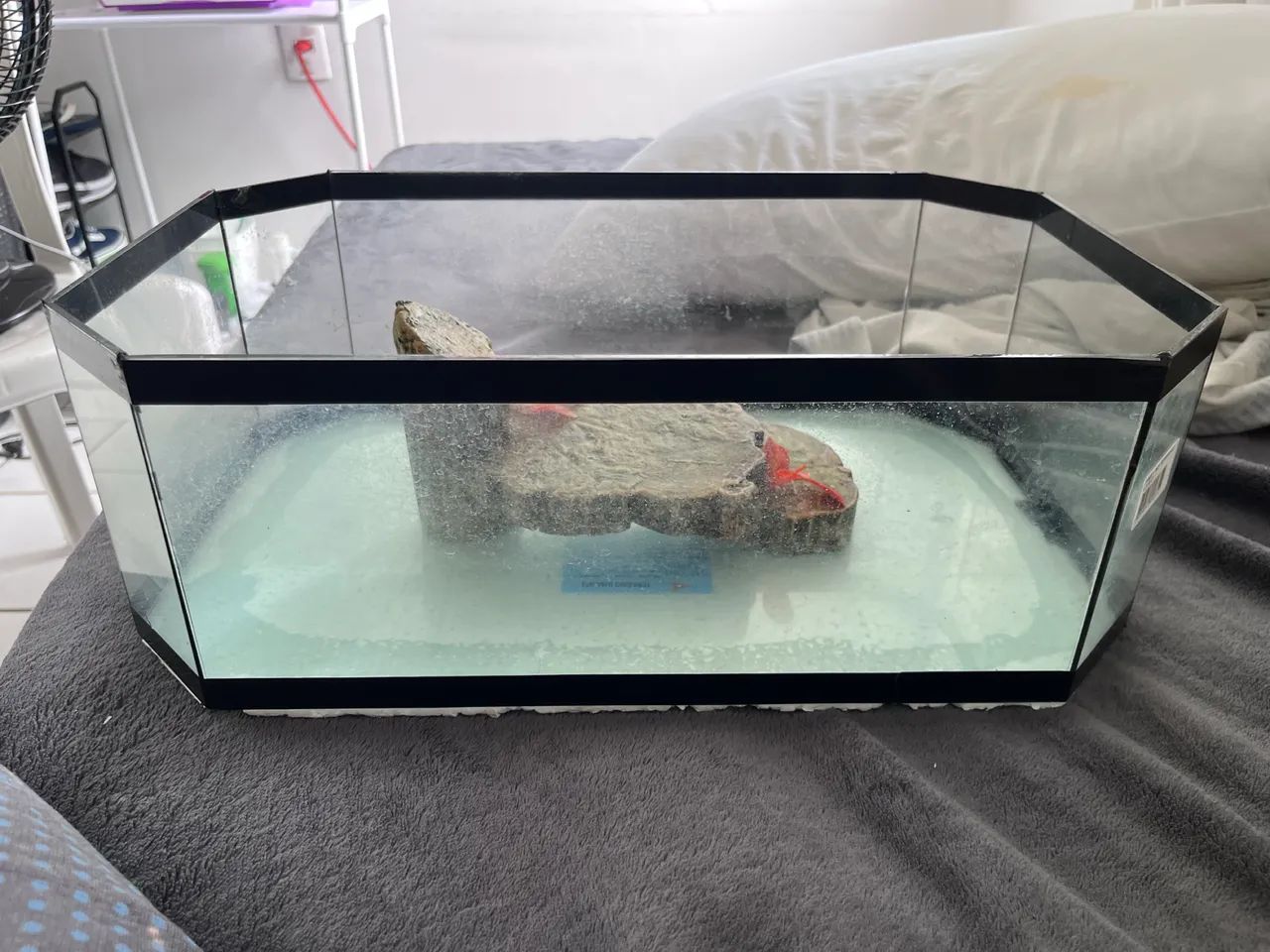 Aquário Terrário com Ilha Lester N° 02 - Foto 2