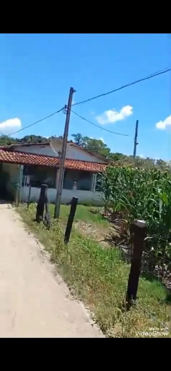 Vendo chácara no bairro dos binos conchas.  Lugar calmo e tranquilo otimo para lazer. - Foto 3
