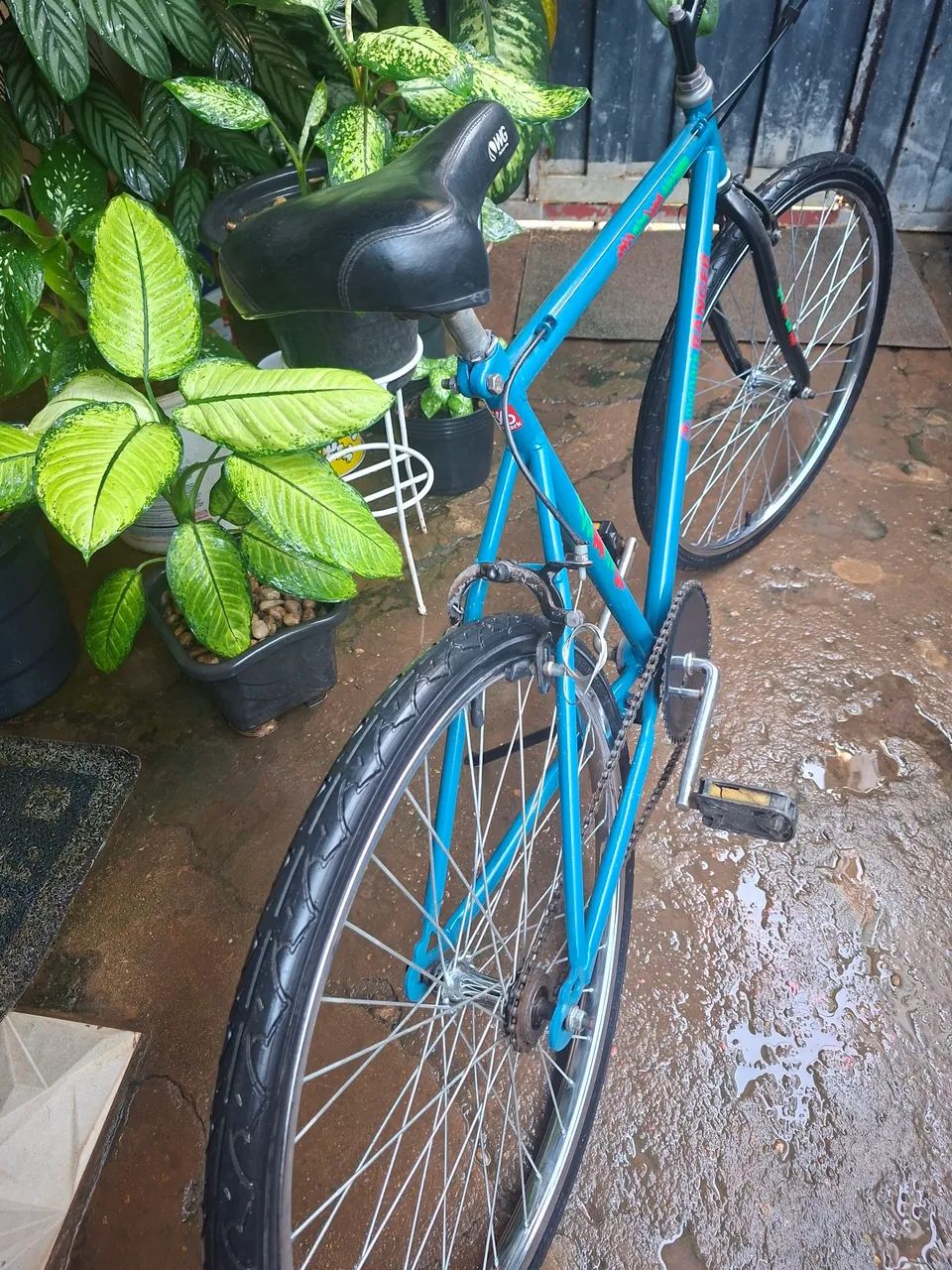 Vendo essas bicicletas antigas  - Foto 5