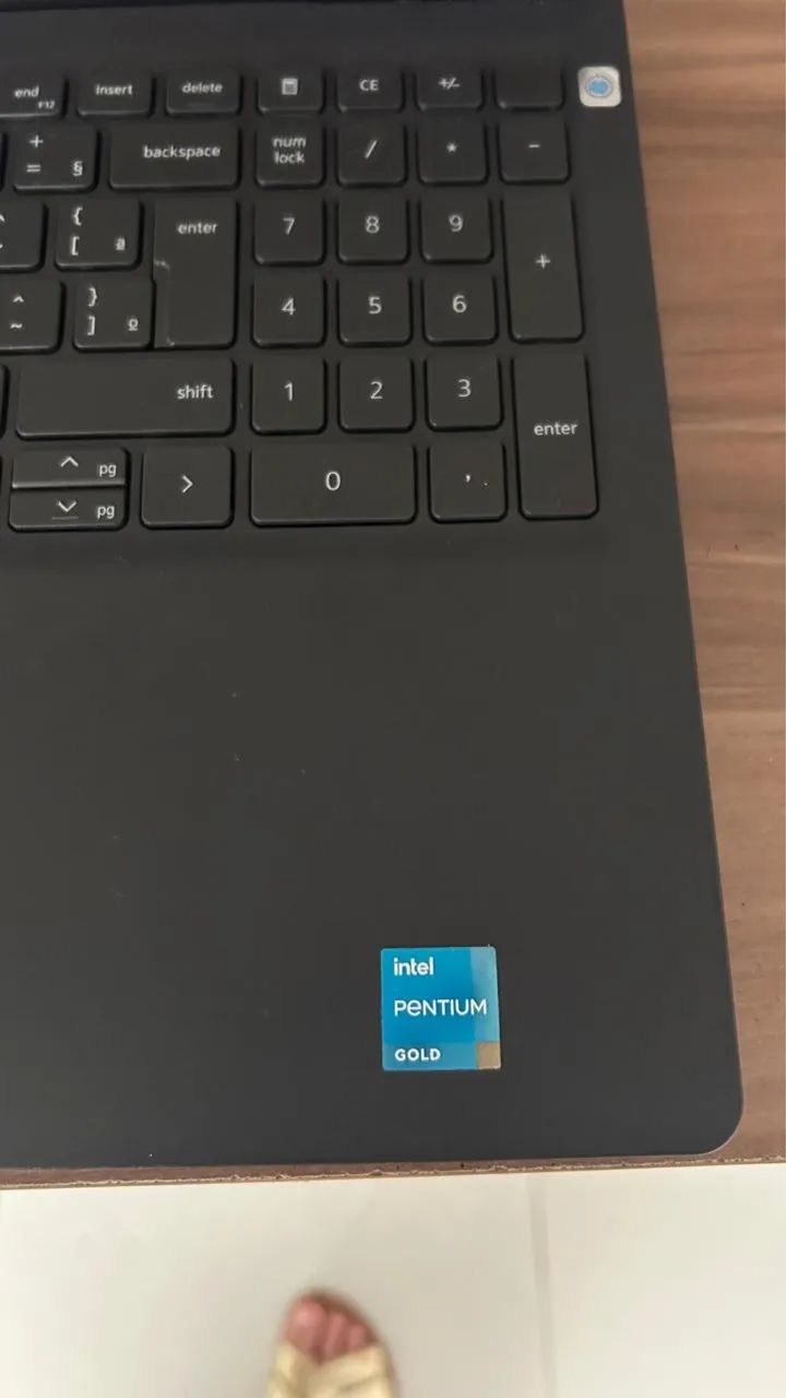 Notebook Dell Intel Pentium Gold - Excelente estado - Pronto para uso