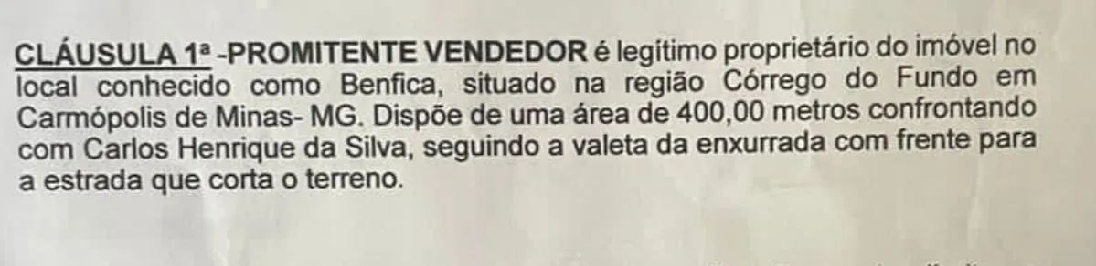 Lote - Foto 3