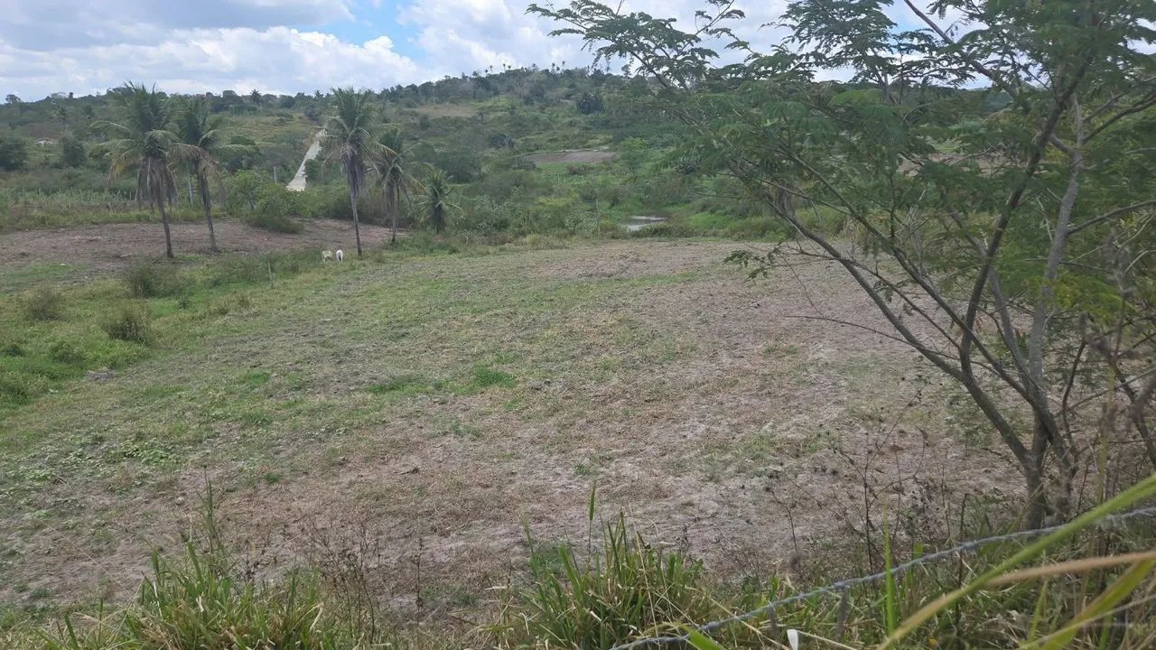 Sitio em Lagoa Seca com muita água  - Foto 3