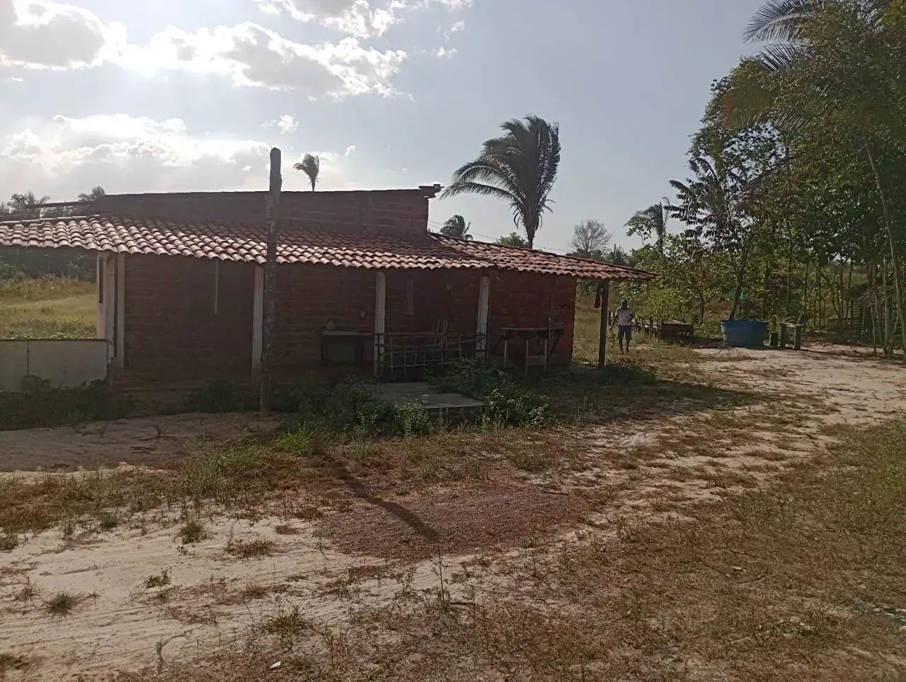 FAZENDA EM BACABEIRA - Foto 4