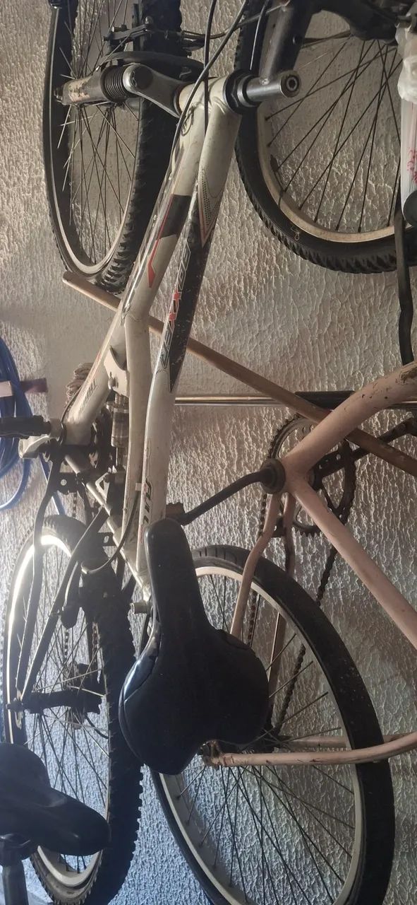 Bicicletas 